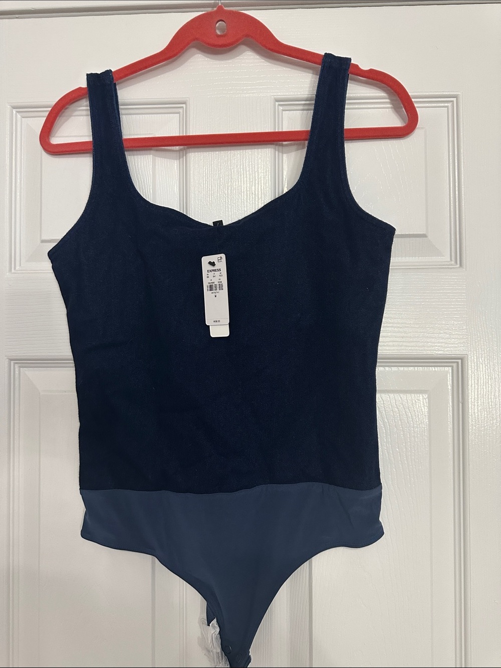 Express Navy and Slate Blue Scoop Neck Bodysuit